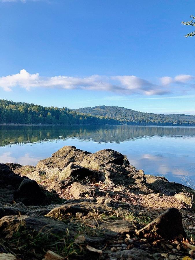 Apartman Riviera 41 Lipno nad Vltavou Luaran gambar